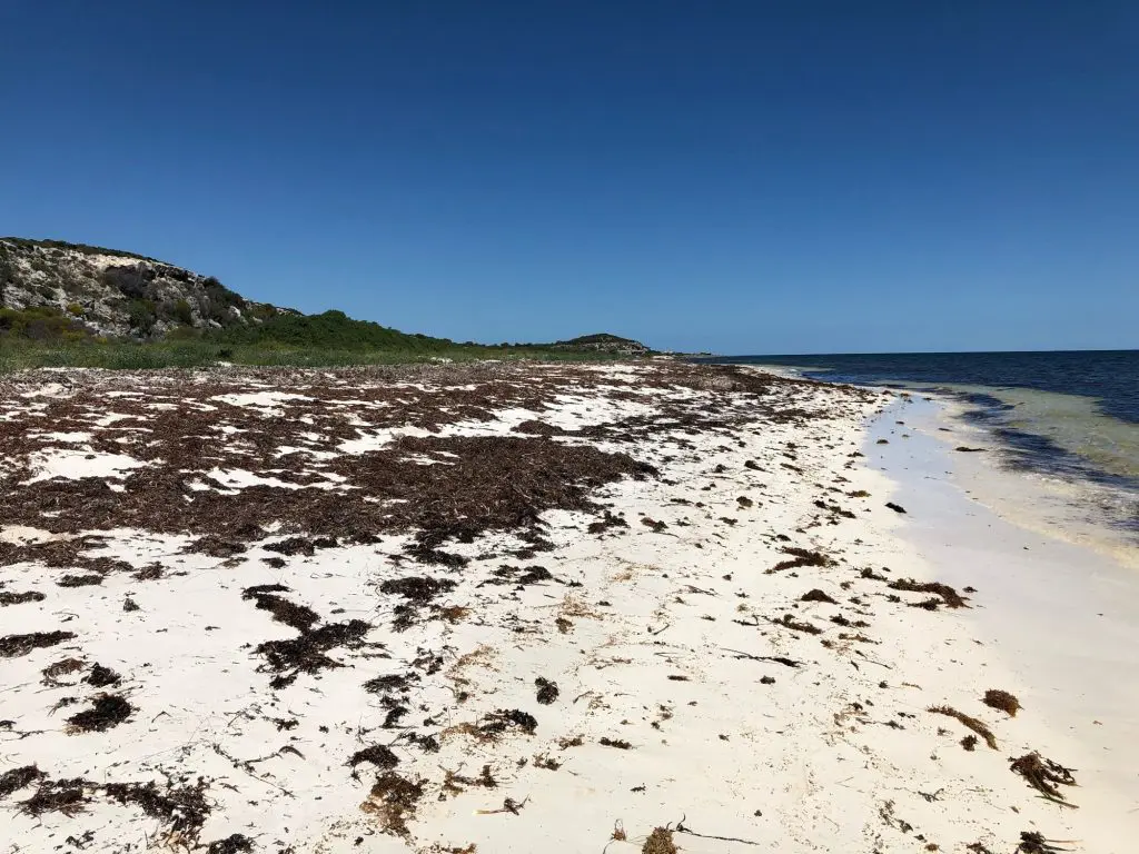 Knobby Head North, near Dongara North of Greenhead